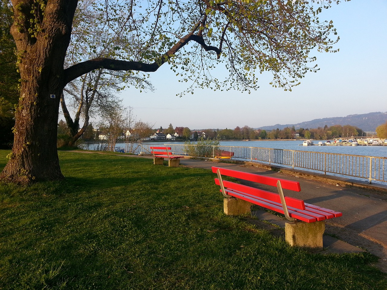 精彩比赛 精彩比赛