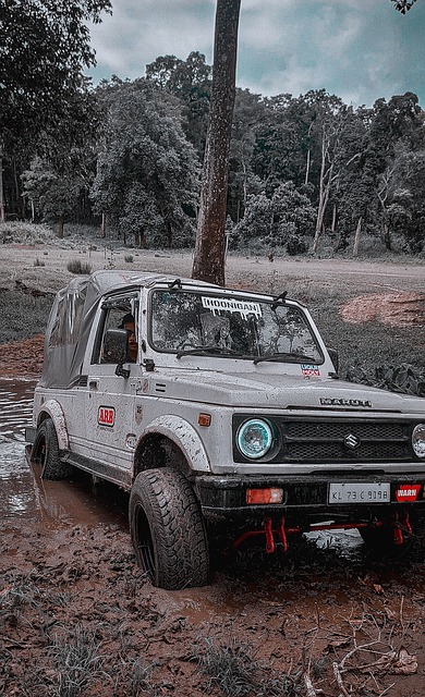 球队的引援 球队的引援