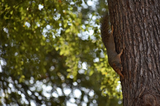 在亚洲区外 在亚洲区外